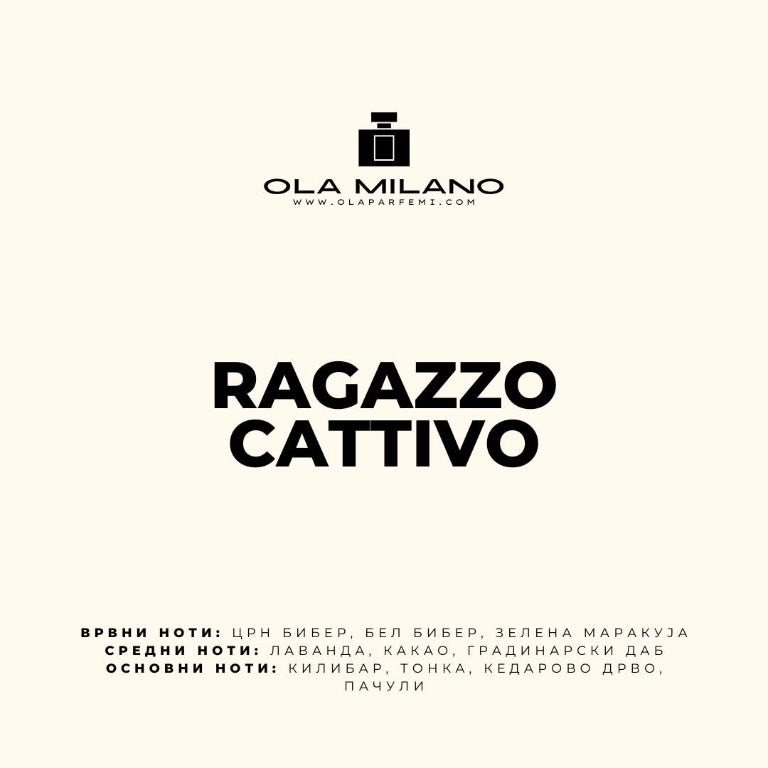 RAGAZZO CATTIVO INSPIRED BY CAROLINA HERRERA BAD BOY 50ML