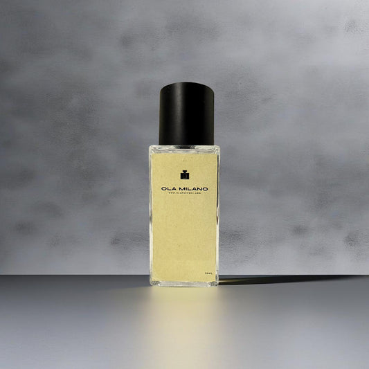 BOMBA DI SPEZIE INSPIRED BY VIKTOR & ROLF SPICEBOMB DARK LEATHER 30ML