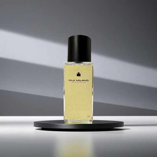 UOMO IN NERO INSPIRED BY BVLGARI MAN IN BLACK 30ML