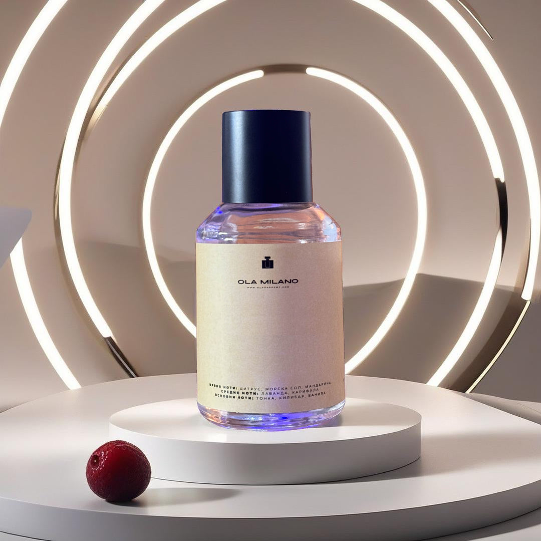 RICERCATO INSPIRED BY AZZARO MOST WANTED PERFUME 50ML