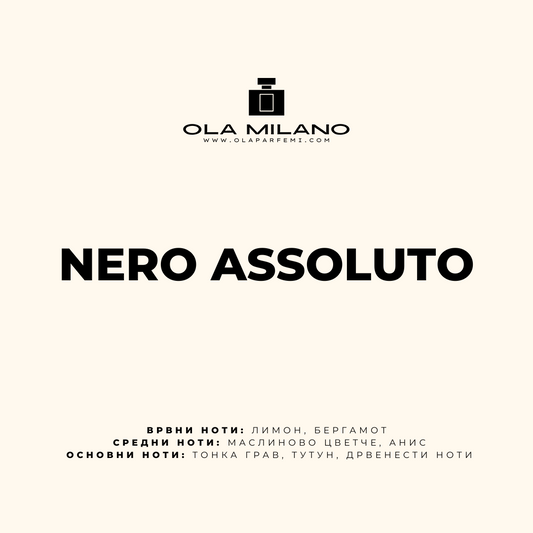 NERO ASSOLUTO INSPIRED BY ARMANI BLACK CODE 100ML