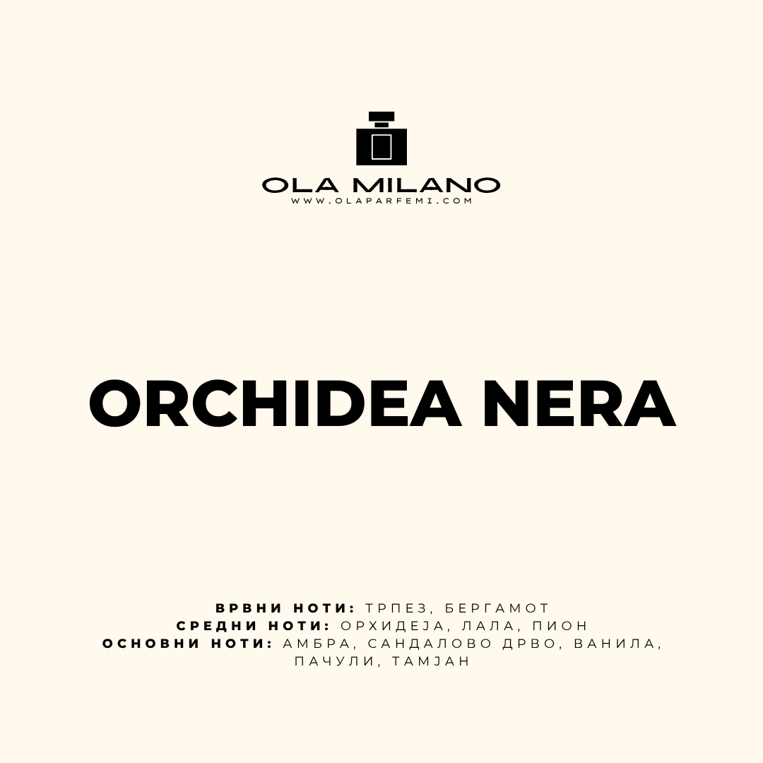 ORCHIDEA NERA INSPIRED BY TOM FORD BLACK ORCHID 100ML