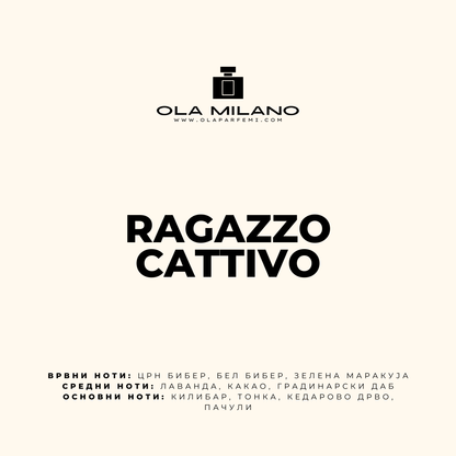 RAGAZZO CATTIVO INSPIRED BY CAROLINA HERRERA BAD BOY 30ML