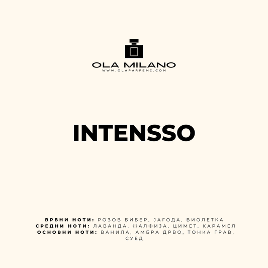 INTENSSO INSPIRED BY ARMANI STRONGER WITH YOU INTENSELY 100ML